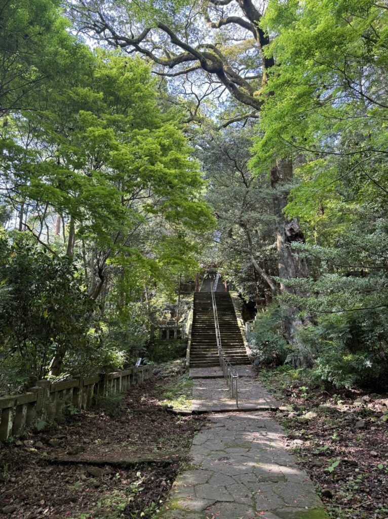 木々に囲まれた柞原八幡宮の参道と石段