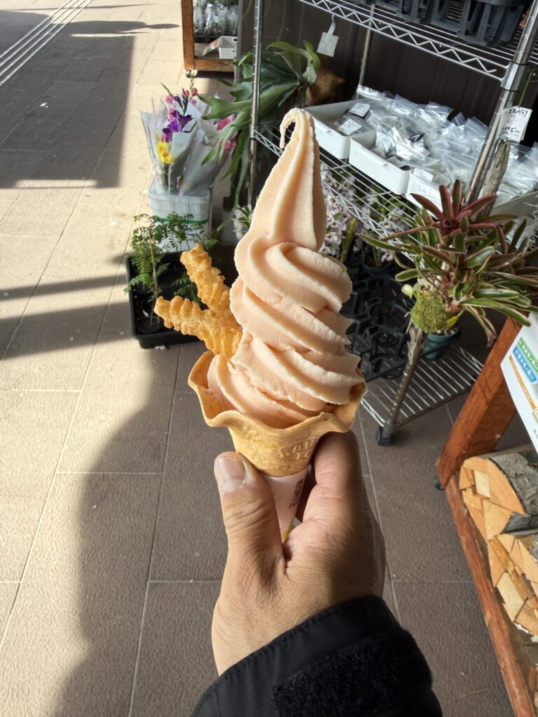 道の駅つのの名物であるオレンジ色のトマトソフトクリームを手に持った写真